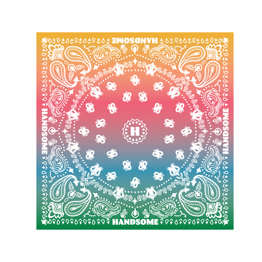 Handsome Rainbow Bandana
